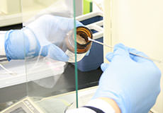 研究活動イメージ