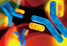 病理受託業務イメージ