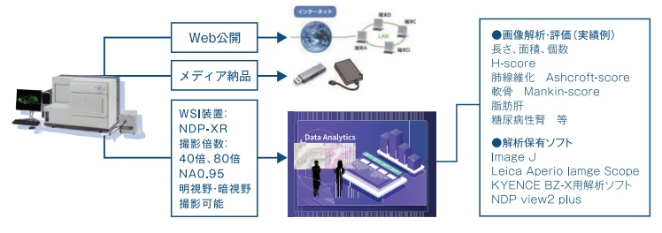 WSIデジタル画像取得イメージ